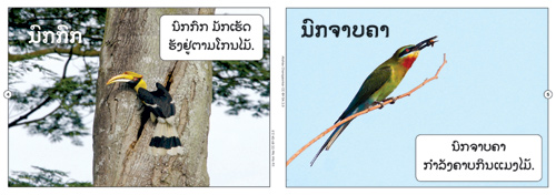 Samples pages from our book: Birds That I Know