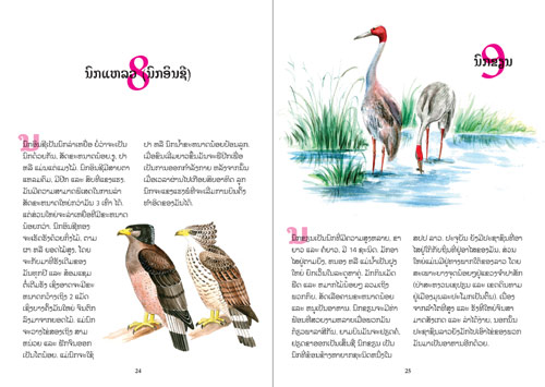 Samples pages from our book: Birds of the World