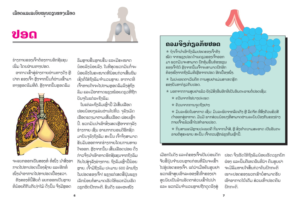 sample pages from Your Body, published in Laos by Big Brother Mouse