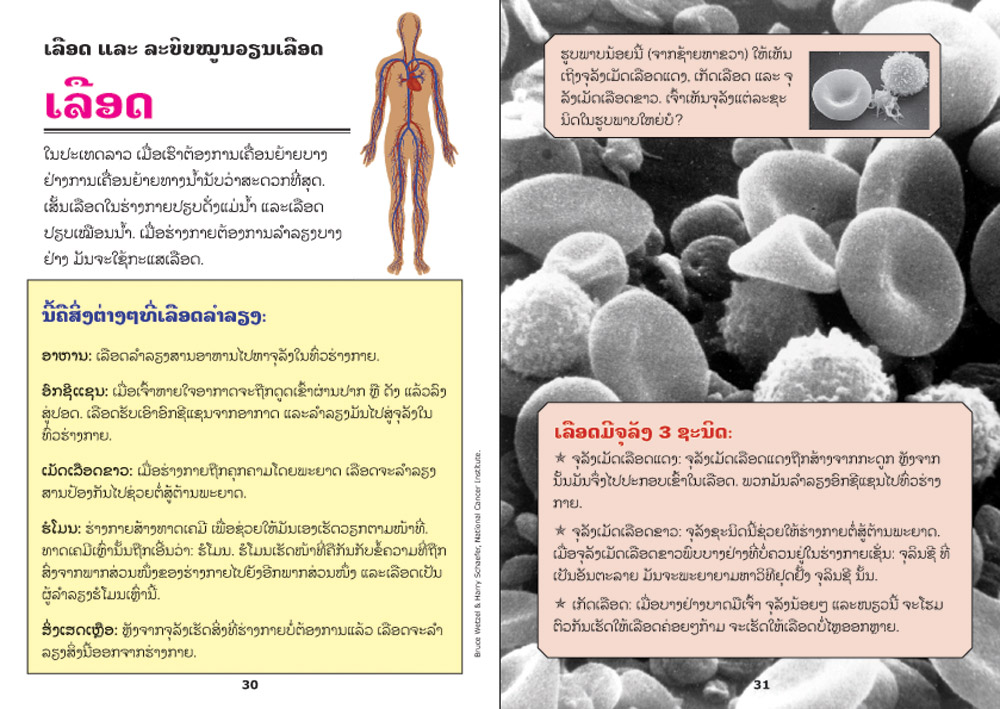 sample pages from Your Body, published in Laos by Big Brother Mouse
