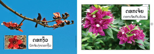 Samples pages from our book: Flowers That I Know
