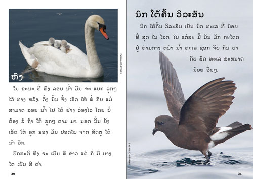 Samples pages from our book: The Green Book about Birds