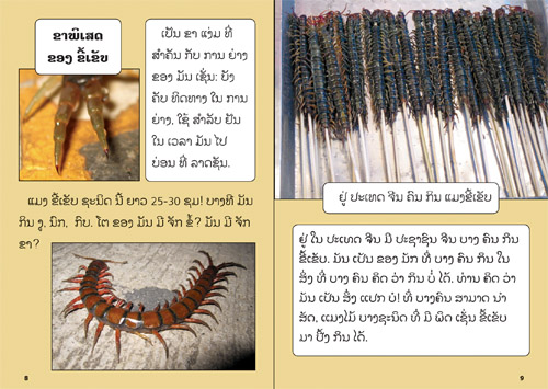 Samples pages from our book: Yellow Book about Insects