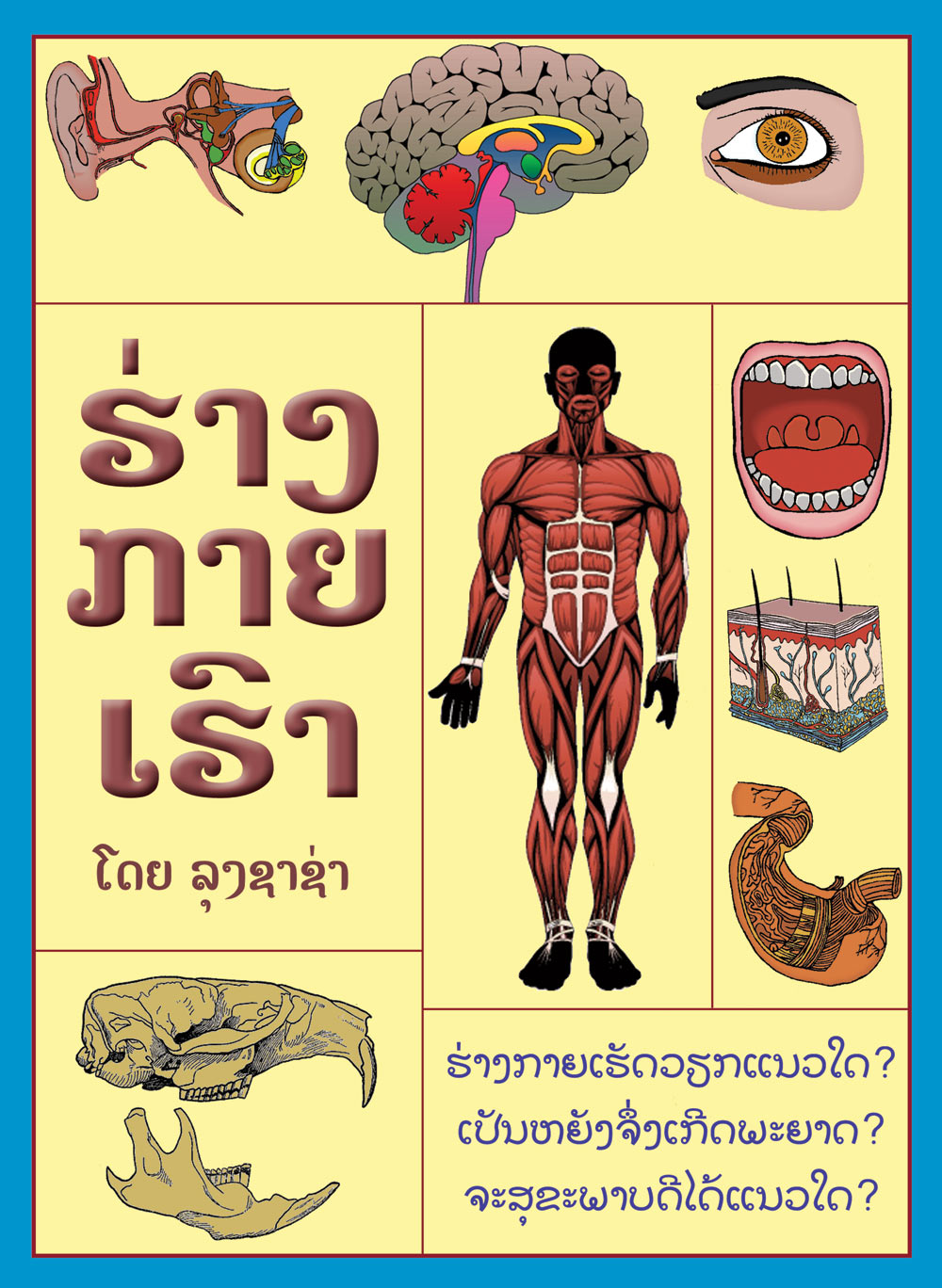 Your Body large book cover, published in 