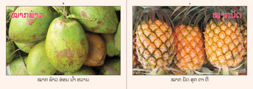 Samples pages from our book: Fruits That I Know