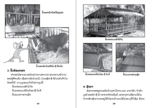 Samples pages from our book: How to Care for Pigs