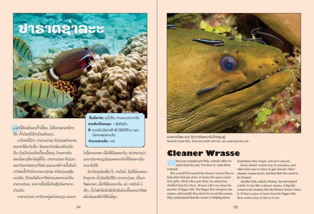 sample pages from Life in the Sea, published in Laos by Big Brother Mouse