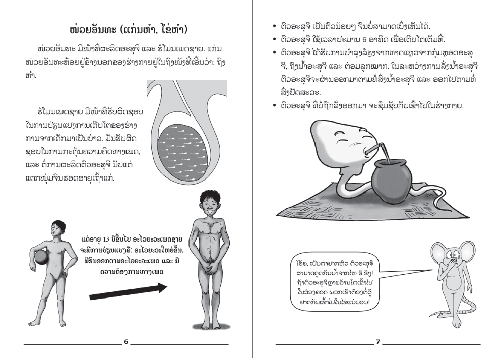 sample pages from Men's Health, published in Laos by Big Brother Mouse