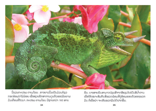 Samples pages from our book: Reptiles