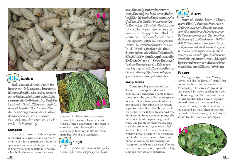 sample pages from What's in the Market?, published in Laos by Big Brother Mouse