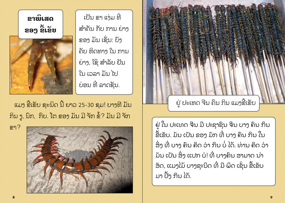sample pages from Yellow Book about Insects, published in Laos by Big Brother Mouse